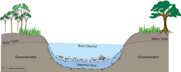 Groundwater and water table