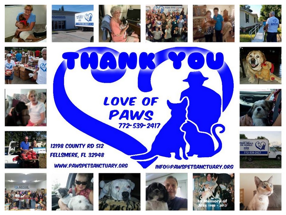 For the love of paws top banner