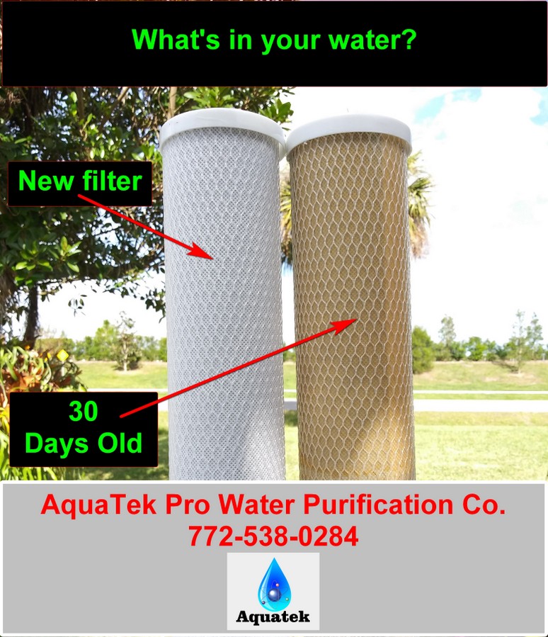 Dirty filter whats in your water Dirty filter whats in your water